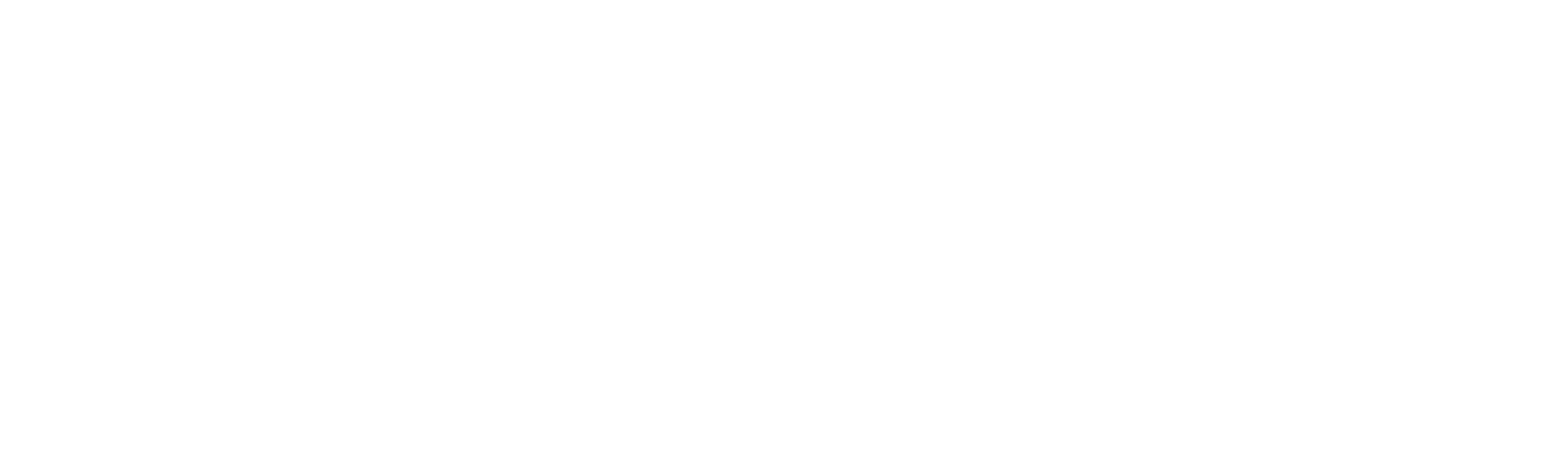 Evervita 